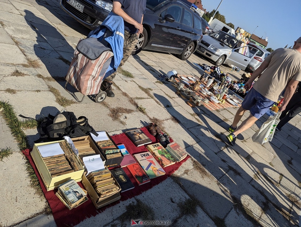 Pchli Targ w Ostrołęce [21.09.2024] - zdjęcie #6 - eOstroleka.pl