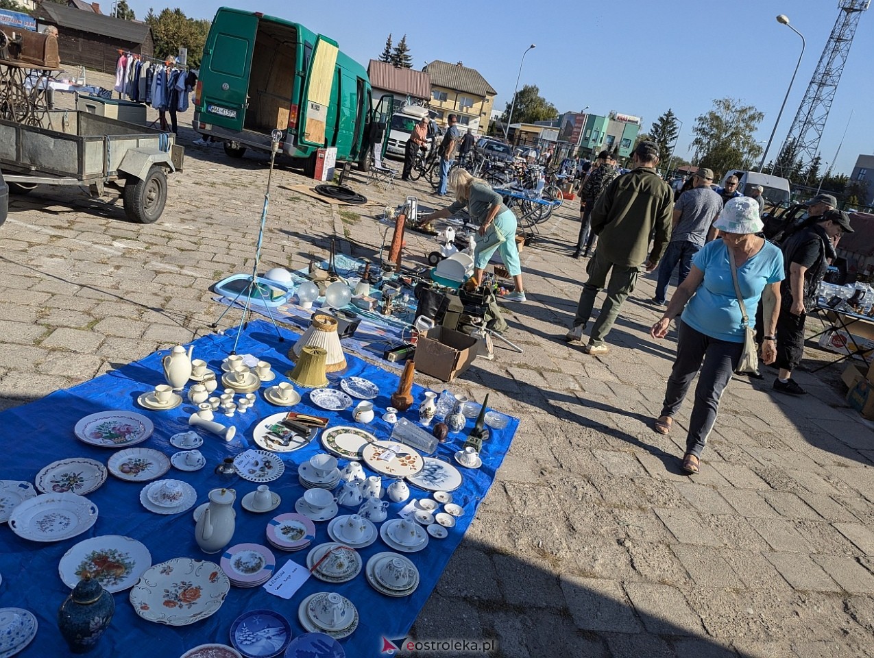 Pchli Targ w Ostrołęce [21.09.2024] - zdjęcie #4 - eOstroleka.pl