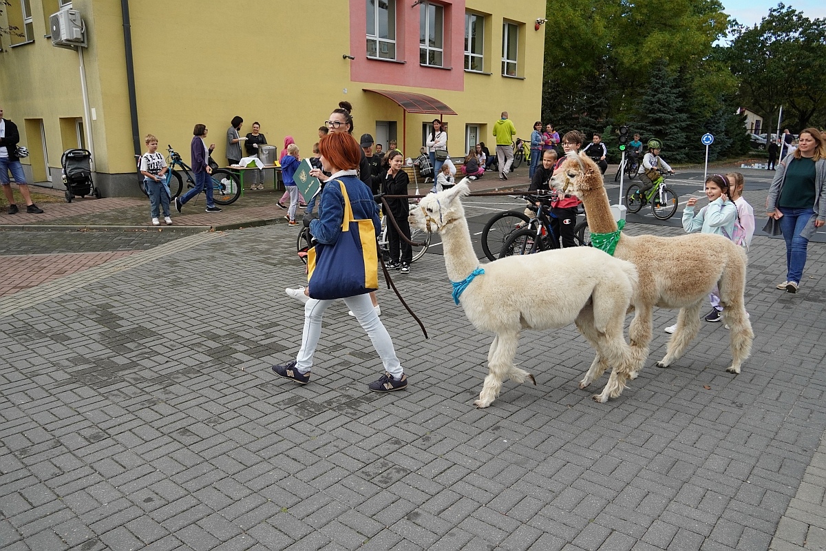Fetyn Bezpieczni i aktywni z szóstką [27.09.2024] - zdjęcie #2 - eOstroleka.pl