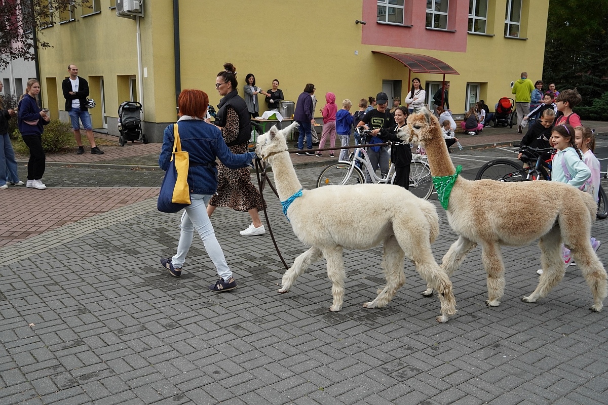 Fetyn Bezpieczni i aktywni z szóstką [27.09.2024] - zdjęcie #1 - eOstroleka.pl