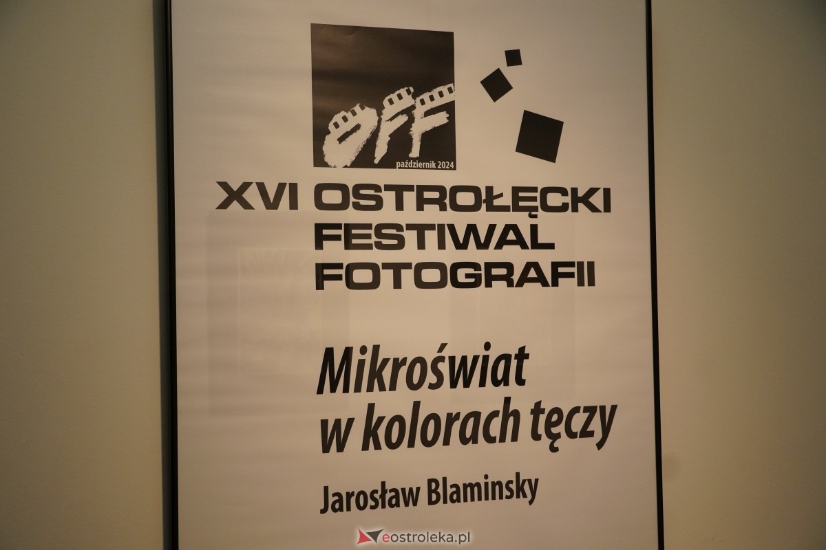 OFF 2024 - oficjalne rozpoczęcie festiwalu [10.10.2024] - zdjęcie #10 - eOstroleka.pl