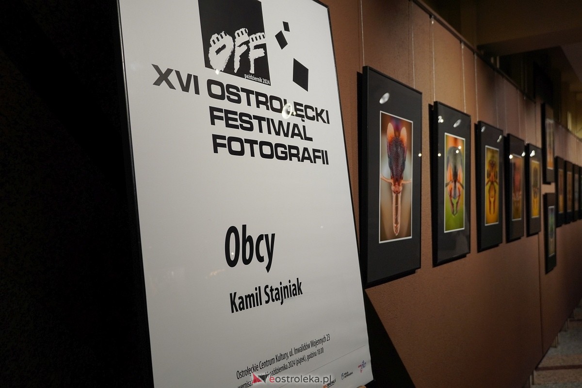 Wernisaż wystawy Obcy OFF [11.10.2024] - zdjęcie #29 - eOstroleka.pl