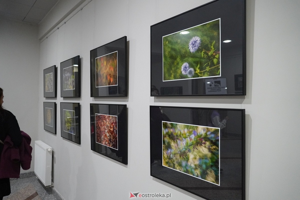 Wernisaż wystawy Zbliżenia OFF [11.10.2024] - zdjęcie #31 - eOstroleka.pl