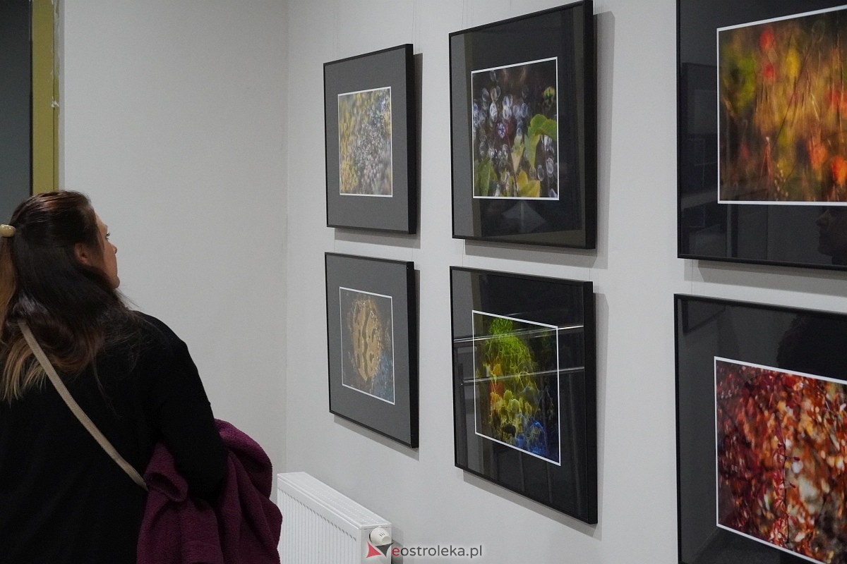 Wernisaż wystawy Zbliżenia OFF [11.10.2024] - zdjęcie #30 - eOstroleka.pl