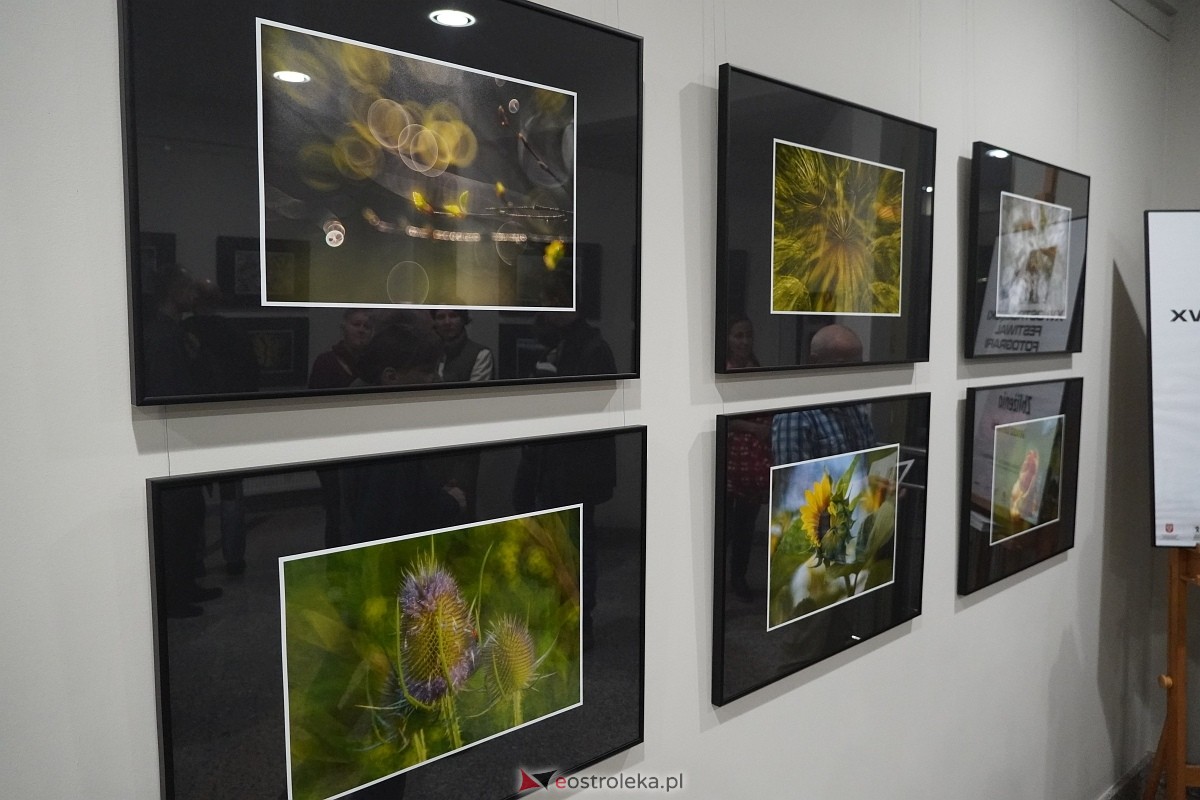 Wernisaż wystawy Zbliżenia OFF [11.10.2024] - zdjęcie #27 - eOstroleka.pl