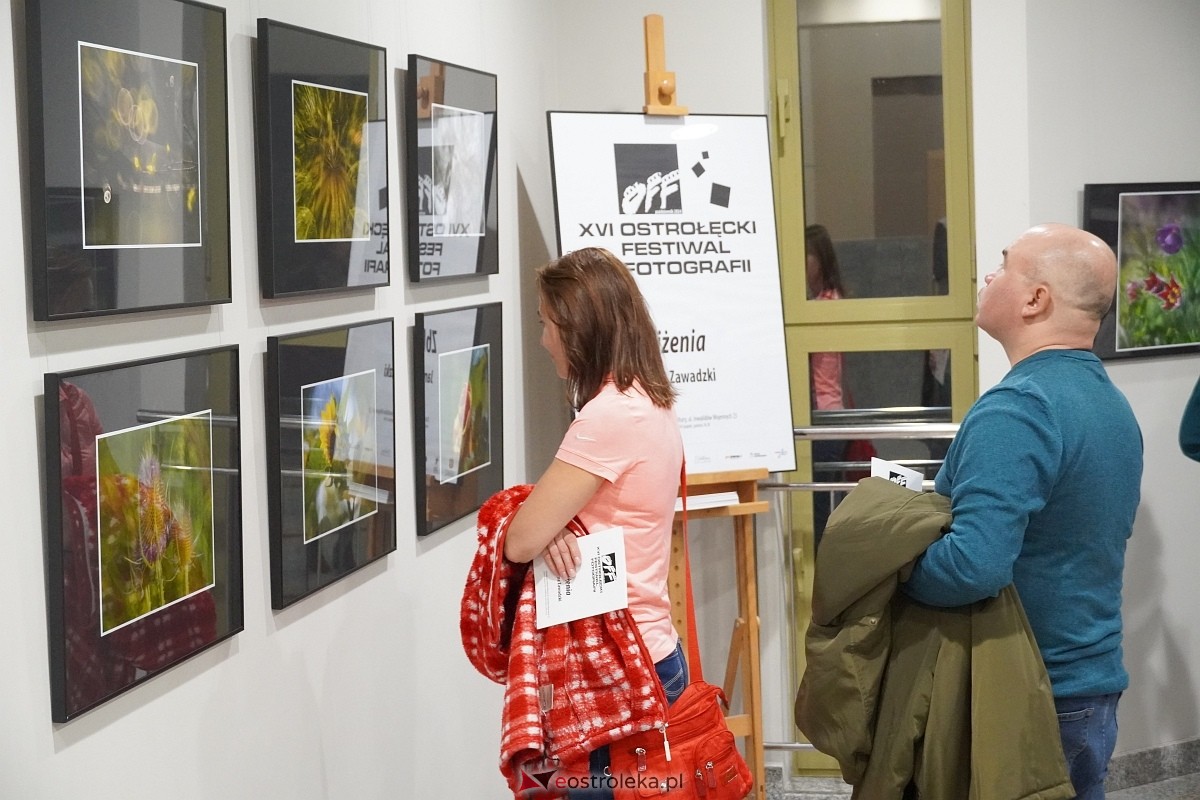 Wernisaż wystawy Zbliżenia OFF [11.10.2024] - zdjęcie #25 - eOstroleka.pl