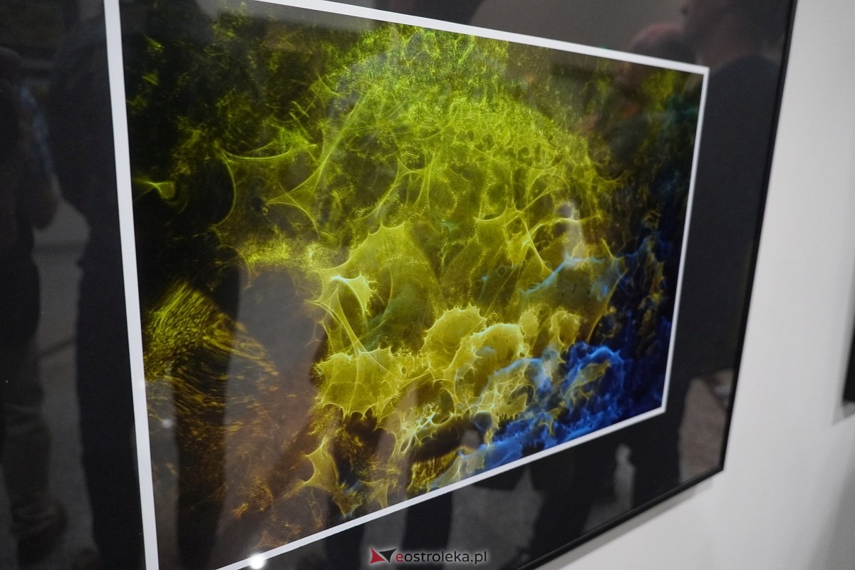 Wernisaż wystawy Zbliżenia OFF [11.10.2024] - zdjęcie #12 - eOstroleka.pl