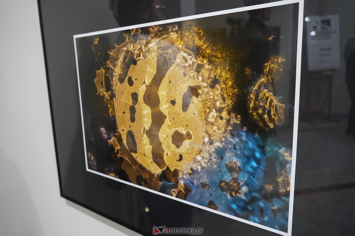 Wernisaż wystawy Zbliżenia OFF [11.10.2024] - zdjęcie #11 - eOstroleka.pl