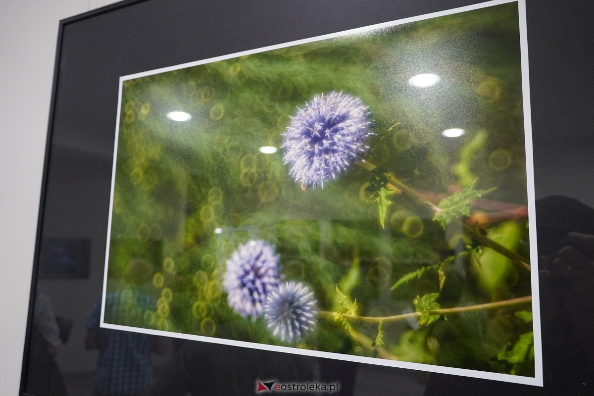 Wernisaż wystawy Zbliżenia OFF [11.10.2024] - zdjęcie #8 - eOstroleka.pl