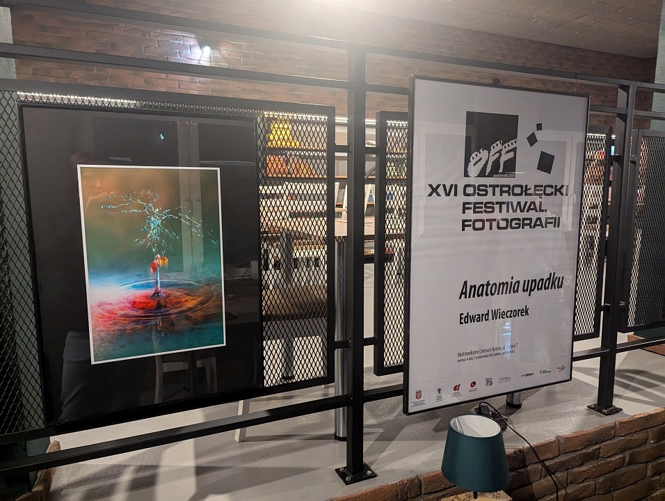 wernisaż wystawy “Anatomia upadku” w multimedialnym Centrum Natura [12.10.2024] - zdjęcie #16 - eOstroleka.pl