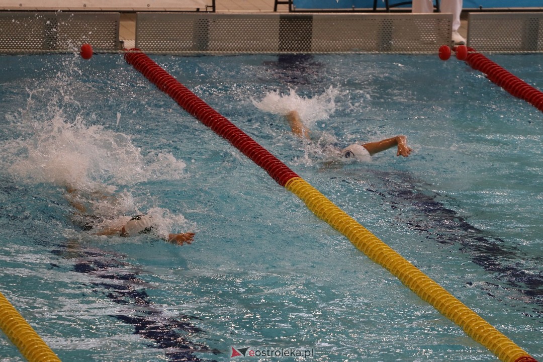 Otylia Swim Cup w Ostrołęce [13.10.2024] - zdjęcie #68 - eOstroleka.pl