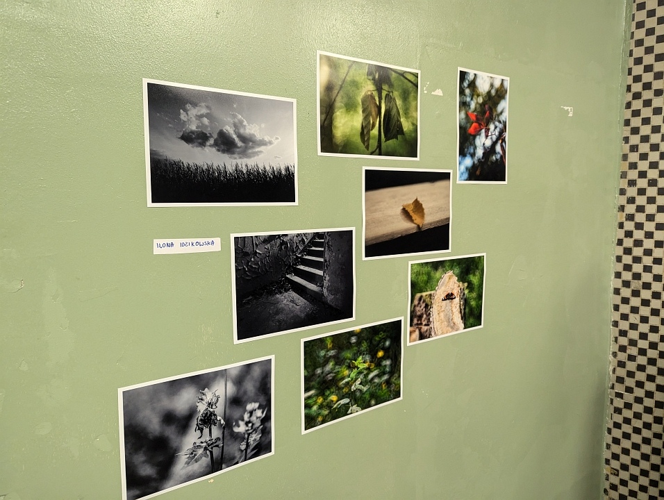 “Galeria Bezdomna” [13.10.2024] - zdjęcie #41 - eOstroleka.pl