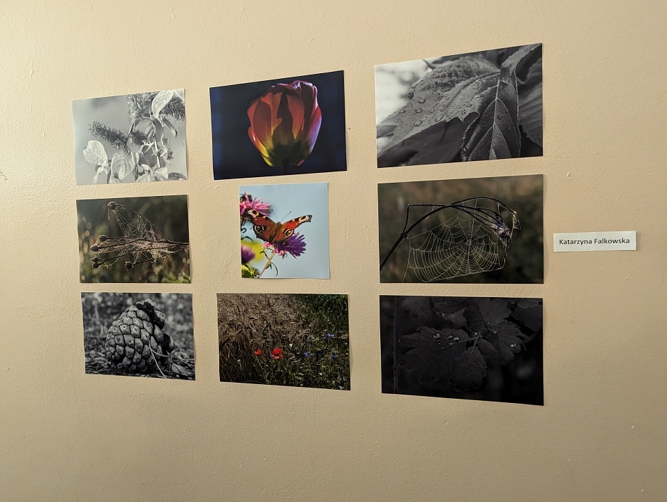 “Galeria Bezdomna” [13.10.2024] - zdjęcie #38 - eOstroleka.pl