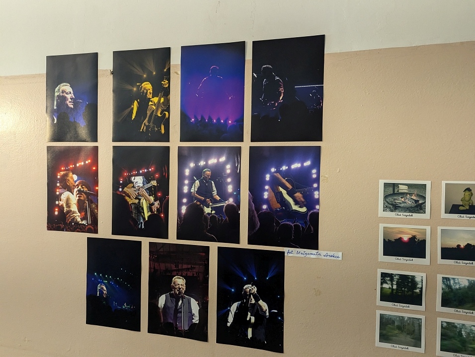 “Galeria Bezdomna” [13.10.2024] - zdjęcie #37 - eOstroleka.pl