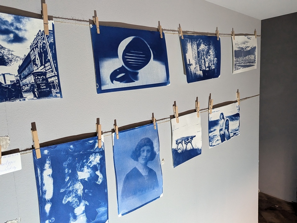 “Galeria Bezdomna” [13.10.2024] - zdjęcie #34 - eOstroleka.pl