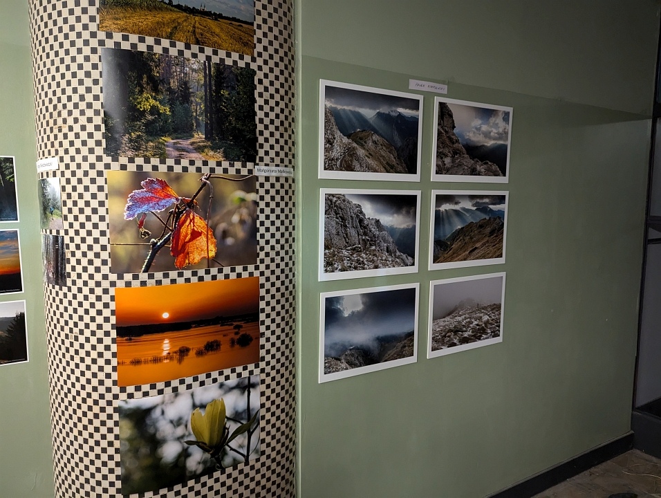 “Galeria Bezdomna” [13.10.2024] - zdjęcie #33 - eOstroleka.pl