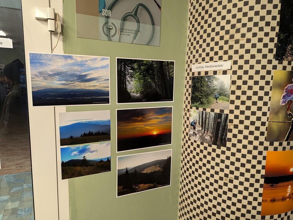 “Galeria Bezdomna” [13.10.2024] - zdjęcie #32 - eOstroleka.pl