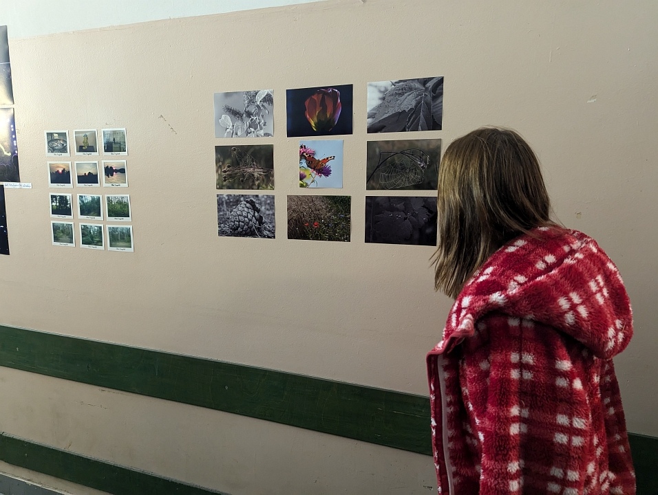 “Galeria Bezdomna” [13.10.2024] - zdjęcie #10 - eOstroleka.pl
