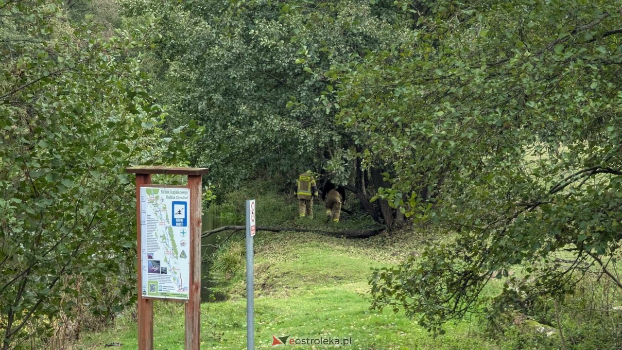 Akcja ratunkowa w Kurkach pod Ostrołęką [14.10.2024] - zdjęcie #6 - eOstroleka.pl