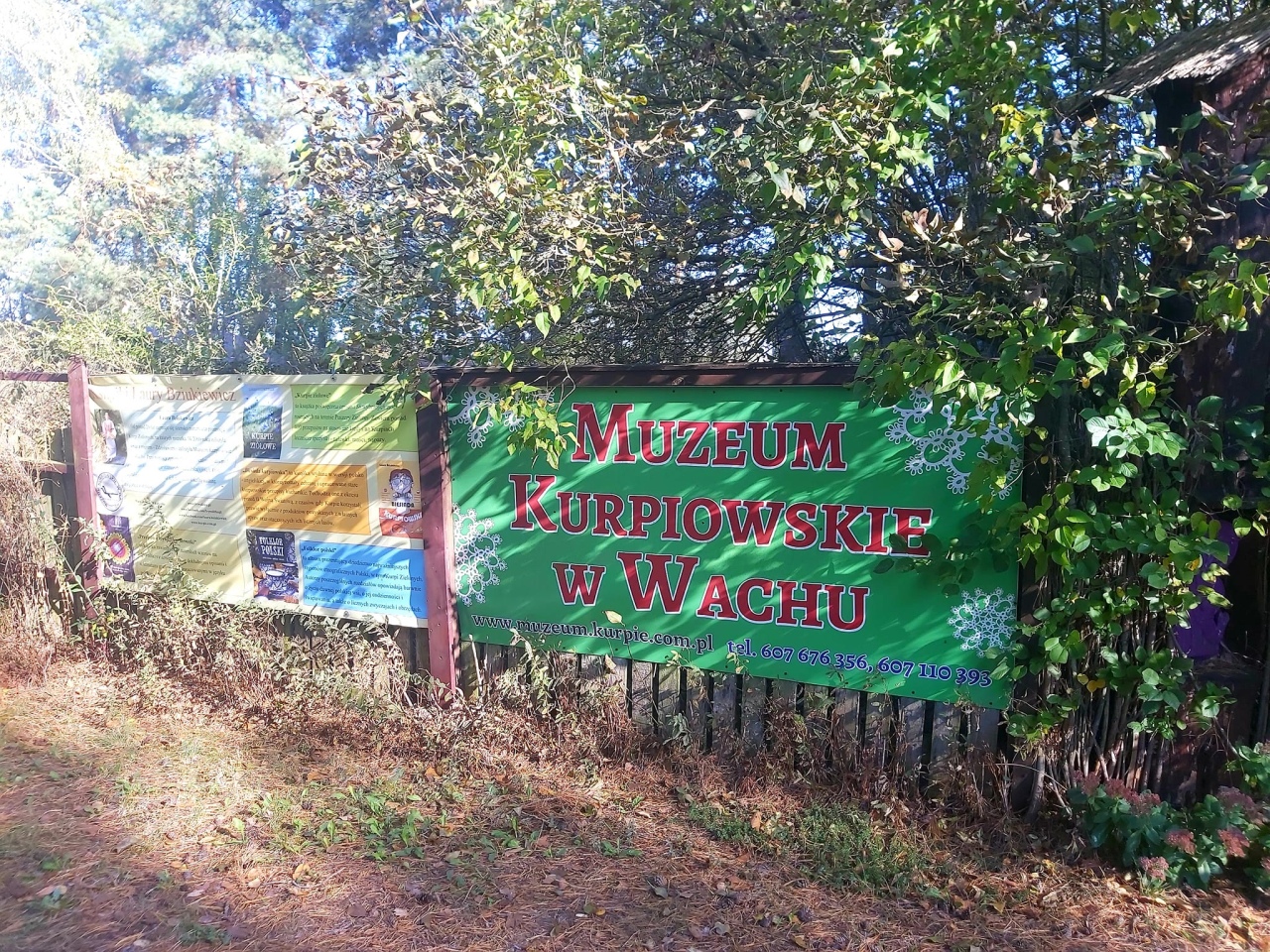 Warsztaty z KGW w Brzeźnie [21.10.2024] - zdjęcie #18 - eOstroleka.pl