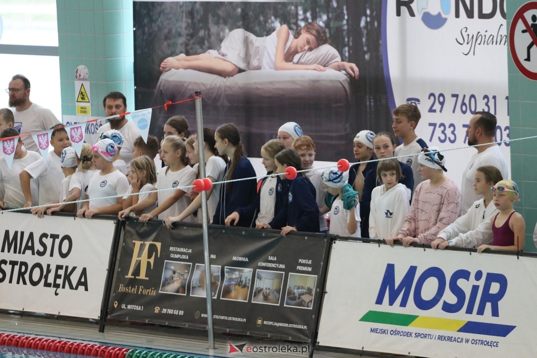 Mistrzostwa Ostrołęki w pływaniu [26.10.2024] - zdjęcie #124 - eOstroleka.pl