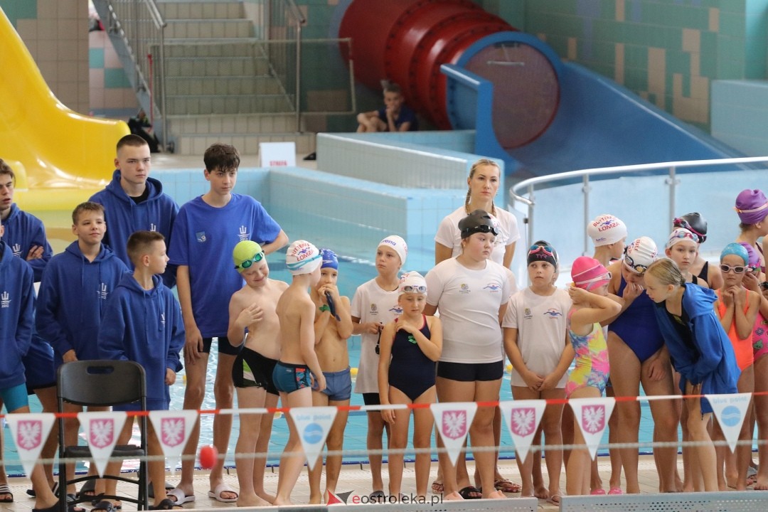 Mistrzostwa Ostrołęki w pływaniu [26.10.2024] - zdjęcie #119 - eOstroleka.pl