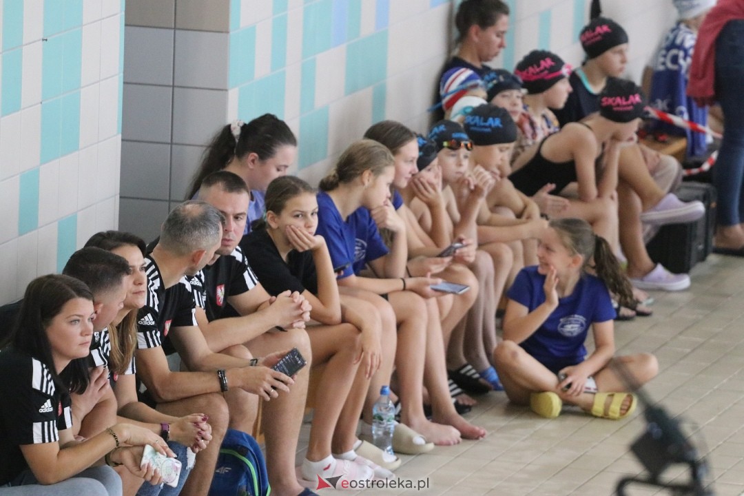 Mistrzostwa Ostrołęki w pływaniu [26.10.2024] - zdjęcie #117 - eOstroleka.pl