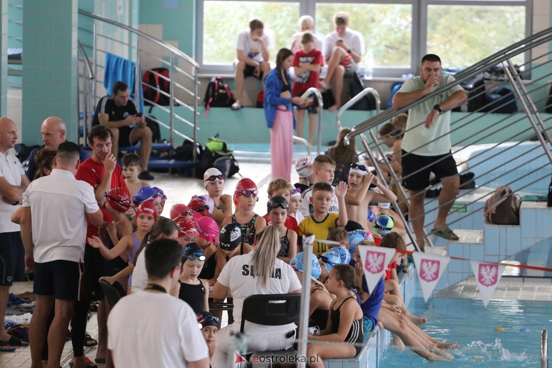 Mistrzostwa Ostrołęki w pływaniu [26.10.2024] - zdjęcie #115 - eOstroleka.pl