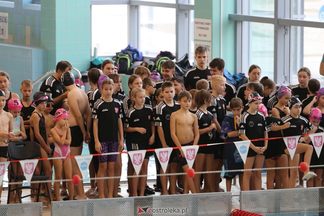 Mistrzostwa Ostrołęki w pływaniu [26.10.2024] - zdjęcie #110 - eOstroleka.pl