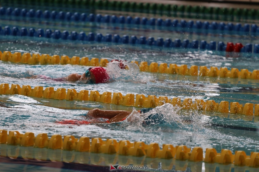 Mistrzostwa Ostrołęki w pływaniu [26.10.2024] - zdjęcie #79 - eOstroleka.pl