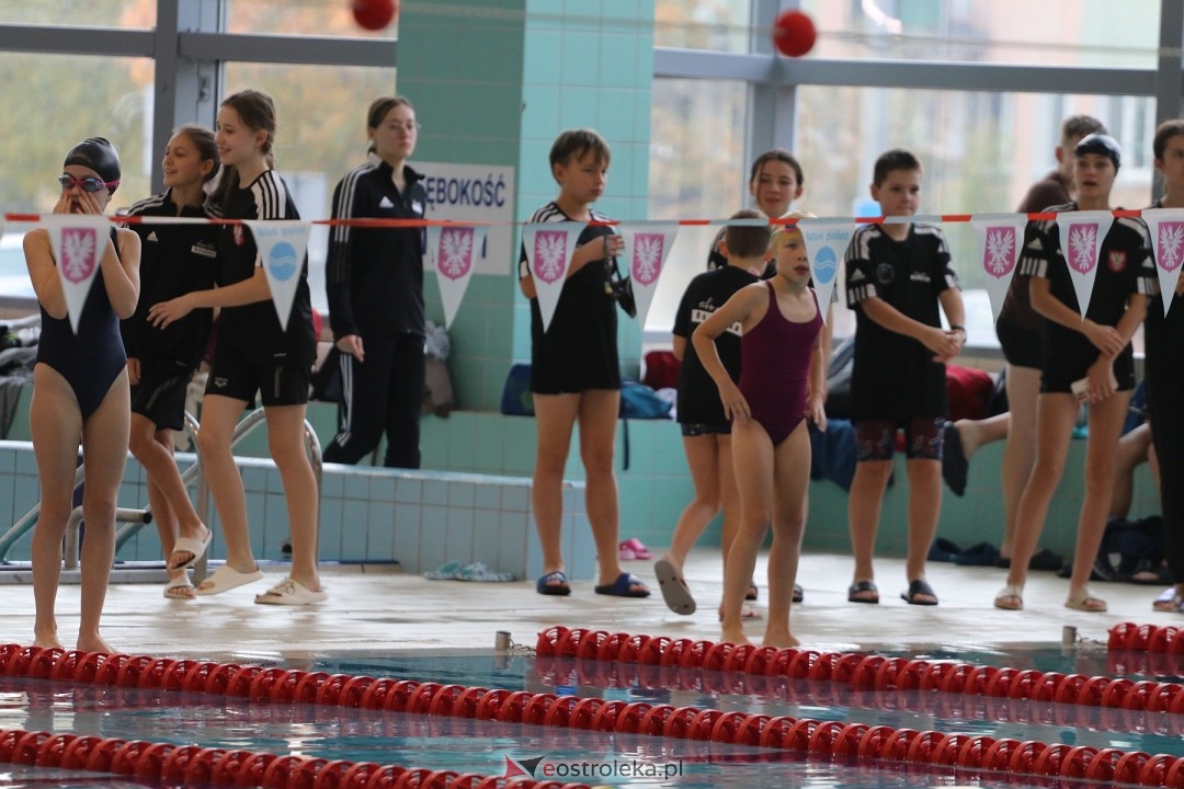 Mistrzostwa Ostrołęki w pływaniu [26.10.2024] - zdjęcie #76 - eOstroleka.pl