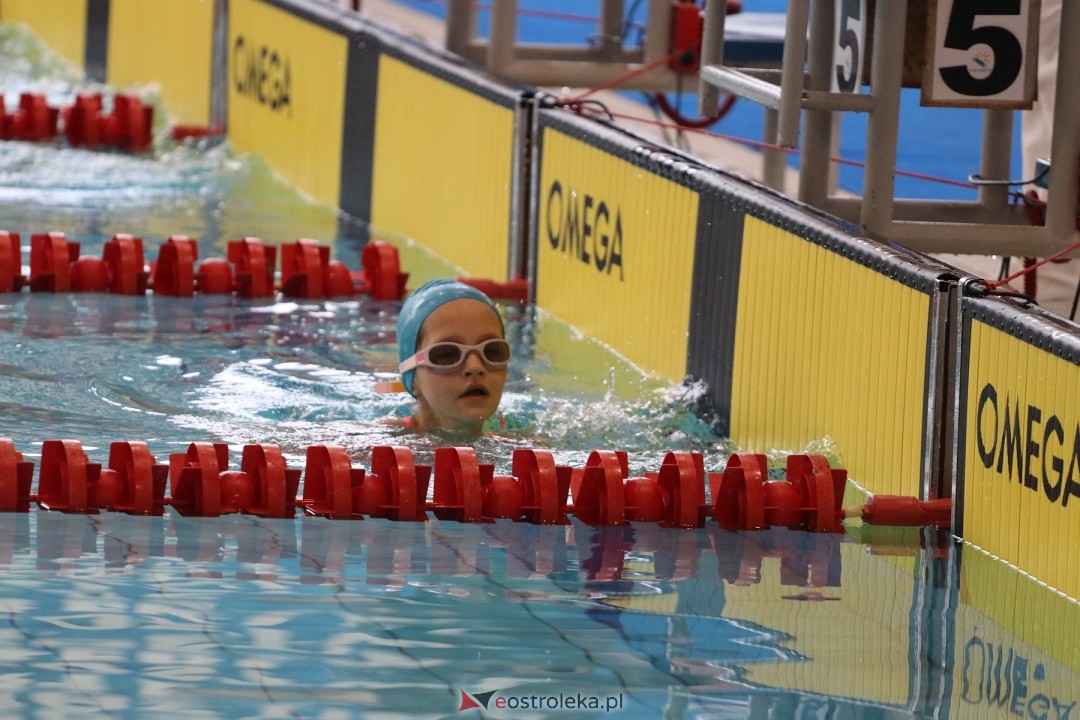 Mistrzostwa Ostrołęki w pływaniu [26.10.2024] - zdjęcie #74 - eOstroleka.pl