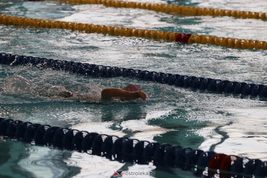 Mistrzostwa Ostrołęki w pływaniu [26.10.2024] - zdjęcie #71 - eOstroleka.pl