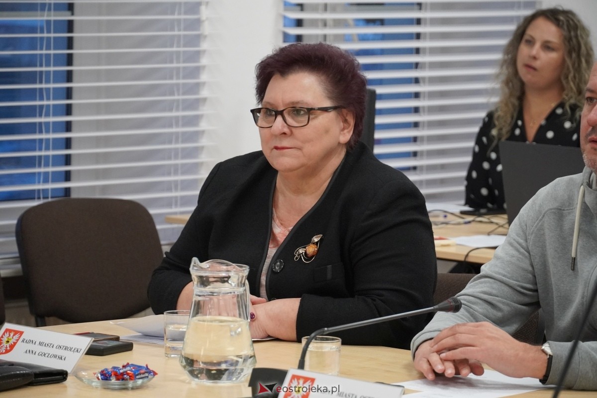 Sesja Rady Miasta Ostrołęki [28.10.2024] - zdjęcie #15 - eOstroleka.pl
