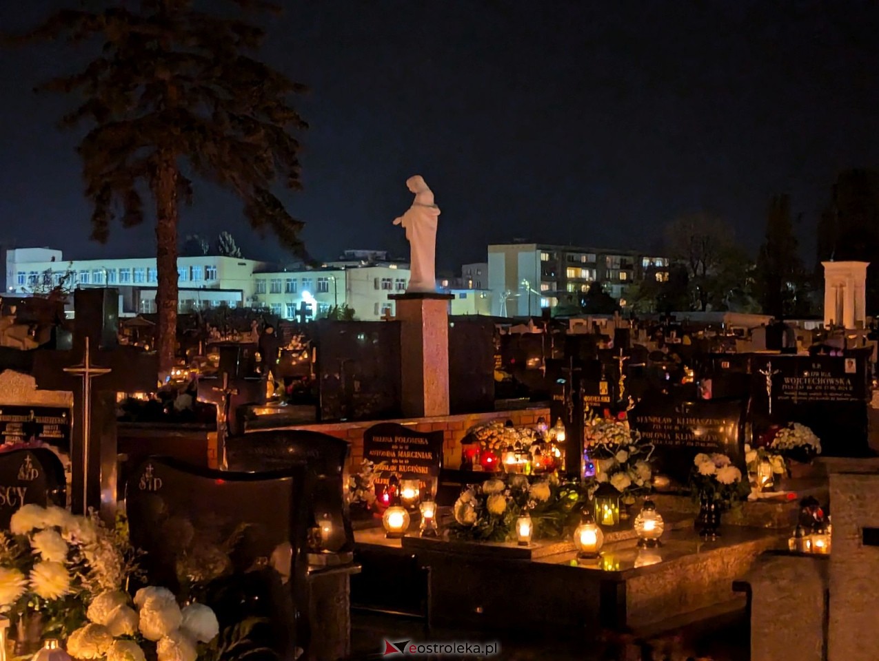 Cmentarz w Przasnyszu [01.11.2024] - zdjęcie #36 - eOstroleka.pl