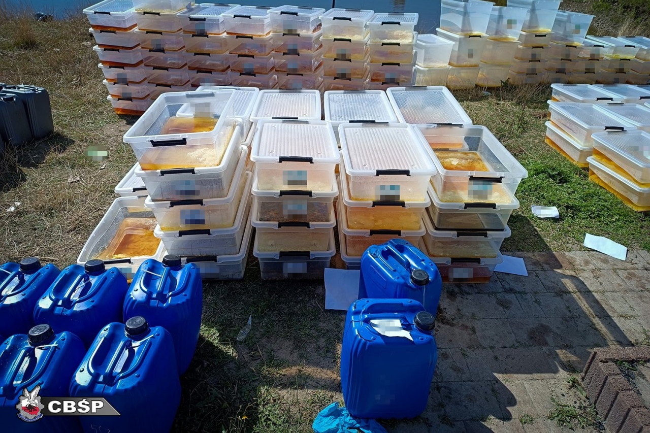 Akcja CBŚP w powiecie makowskim [05.11.2024] - zdjęcie #1 - eOstroleka.pl