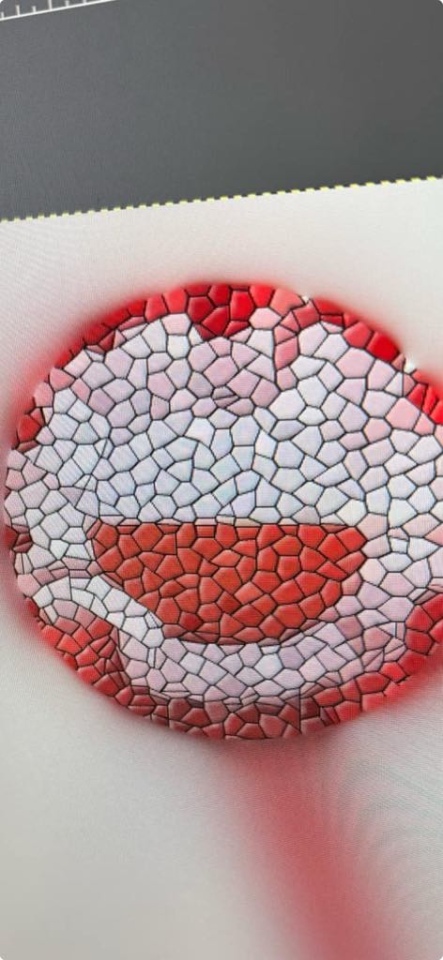 Kotyliony dla Niepodległej - uczniowie SP nr 10 w Ostrołęce oddają hołd Polsce [7.11.2024] - zdjęcie #41 - eOstroleka.pl