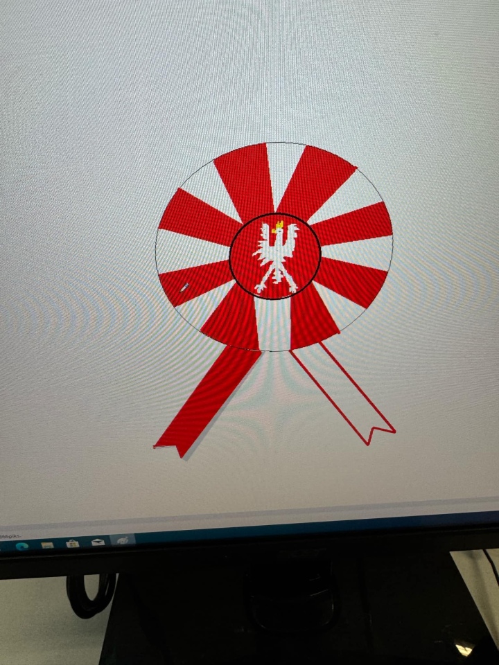 Kotyliony dla Niepodległej - uczniowie SP nr 10 w Ostrołęce oddają hołd Polsce [7.11.2024] - zdjęcie #22 - eOstroleka.pl