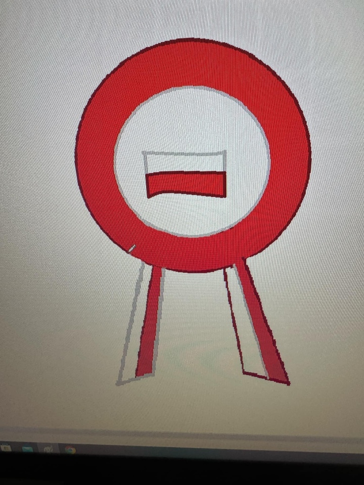 Kotyliony dla Niepodległej - uczniowie SP nr 10 w Ostrołęce oddają hołd Polsce [7.11.2024] - zdjęcie #20 - eOstroleka.pl