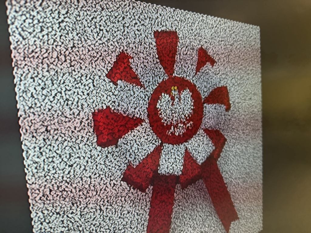 Kotyliony dla Niepodległej - uczniowie SP nr 10 w Ostrołęce oddają hołd Polsce [7.11.2024] - zdjęcie #12 - eOstroleka.pl