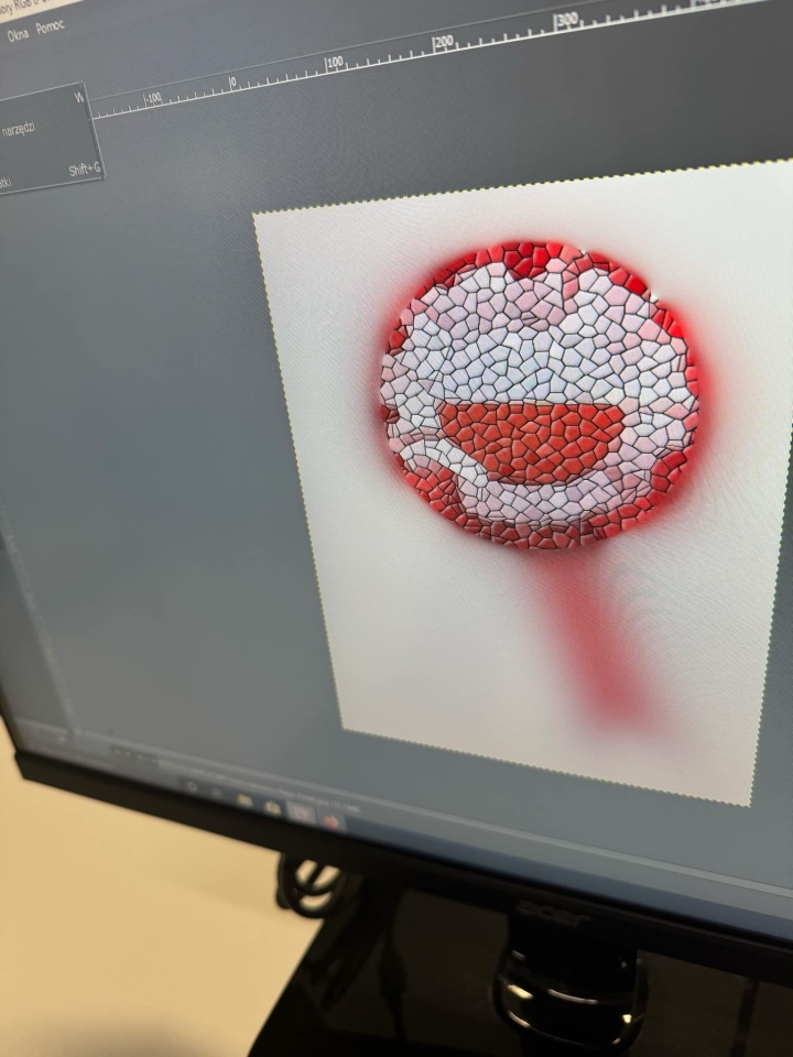 Kotyliony dla Niepodległej - uczniowie SP nr 10 w Ostrołęce oddają hołd Polsce [7.11.2024] - zdjęcie #8 - eOstroleka.pl