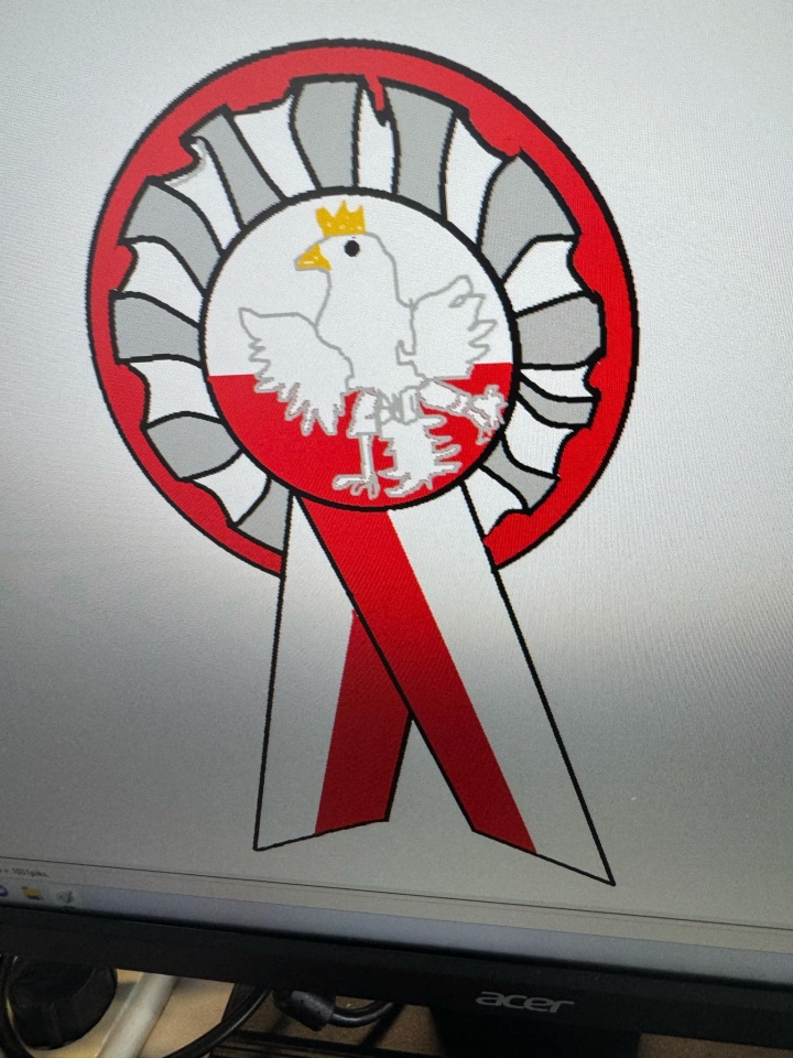 Kotyliony dla Niepodległej - uczniowie SP nr 10 w Ostrołęce oddają hołd Polsce [7.11.2024] - zdjęcie #5 - eOstroleka.pl