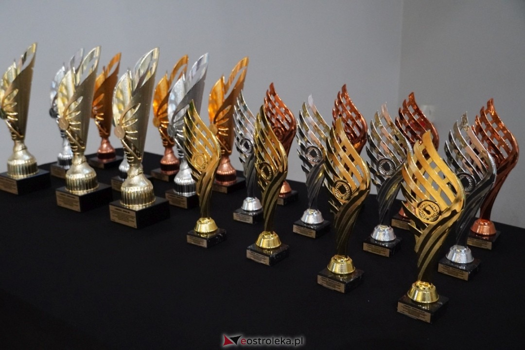 VII Memoriał Barbary Pawelczyk w tenisie stołowym [10.11.2024] - zdjęcie #76 - eOstroleka.pl