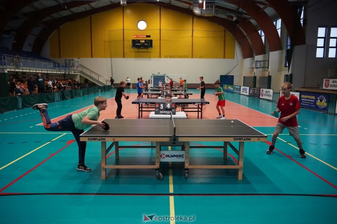 VII Memoriał Barbary Pawelczyk w tenisie stołowym [10.11.2024] - zdjęcie #59 - eOstroleka.pl