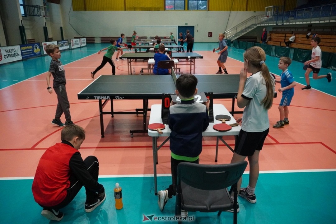 VII Memoriał Barbary Pawelczyk w tenisie stołowym [10.11.2024] - zdjęcie #50 - eOstroleka.pl