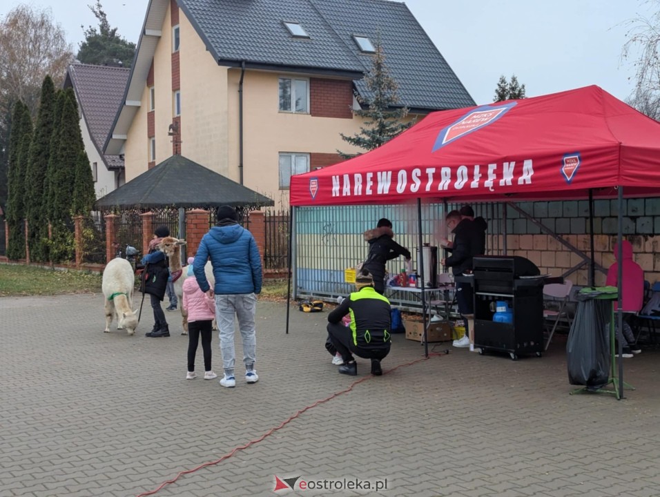 Narew Ostrołęka - Delta Słupno [16.11.2024] - zdjęcie #47 - eOstroleka.pl