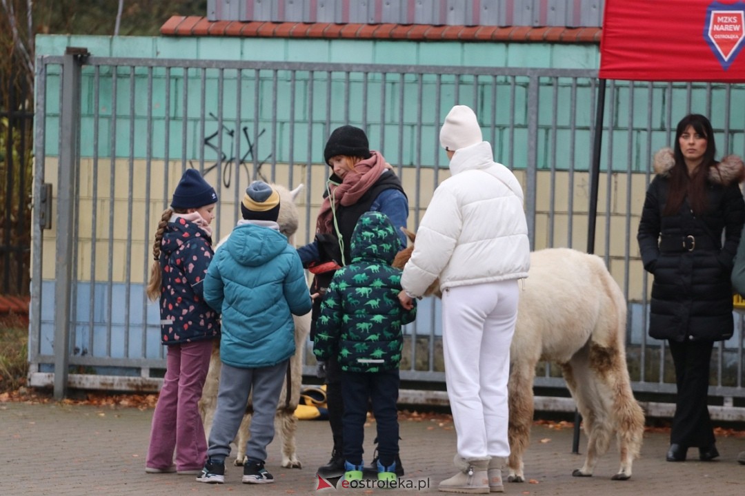 Narew Ostrołęka - Delta Słupno [16.11.2024] - zdjęcie #27 - eOstroleka.pl