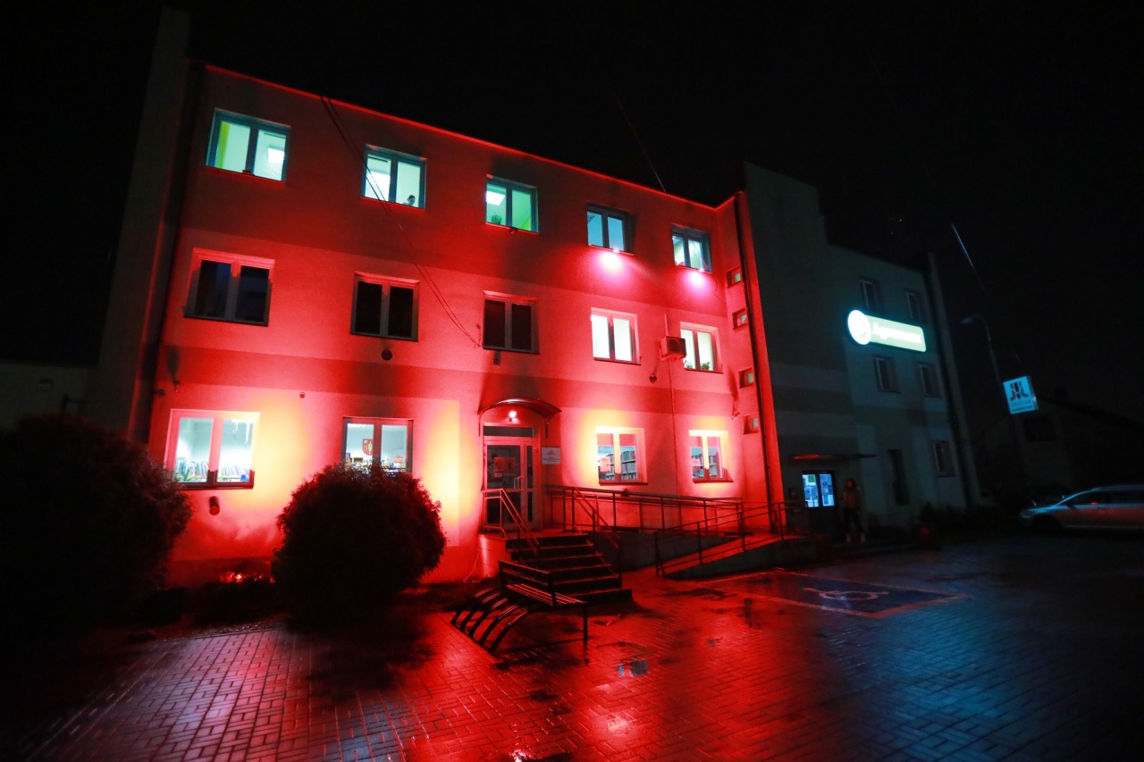 Akcja „Dzieciństwo bez Przemocy” w Rzekuniu [19.11.2024] - zdjęcie #4 - eOstroleka.pl