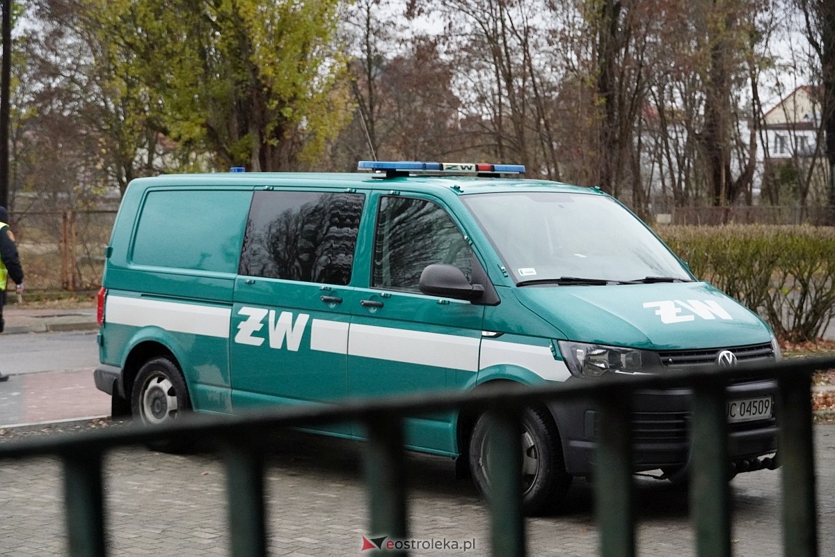 Ćwiczenia bojowe w Wojskowym Centrum Rekrutacji w Ostrołęce [20.11.2024] - zdjęcie #95 - eOstroleka.pl