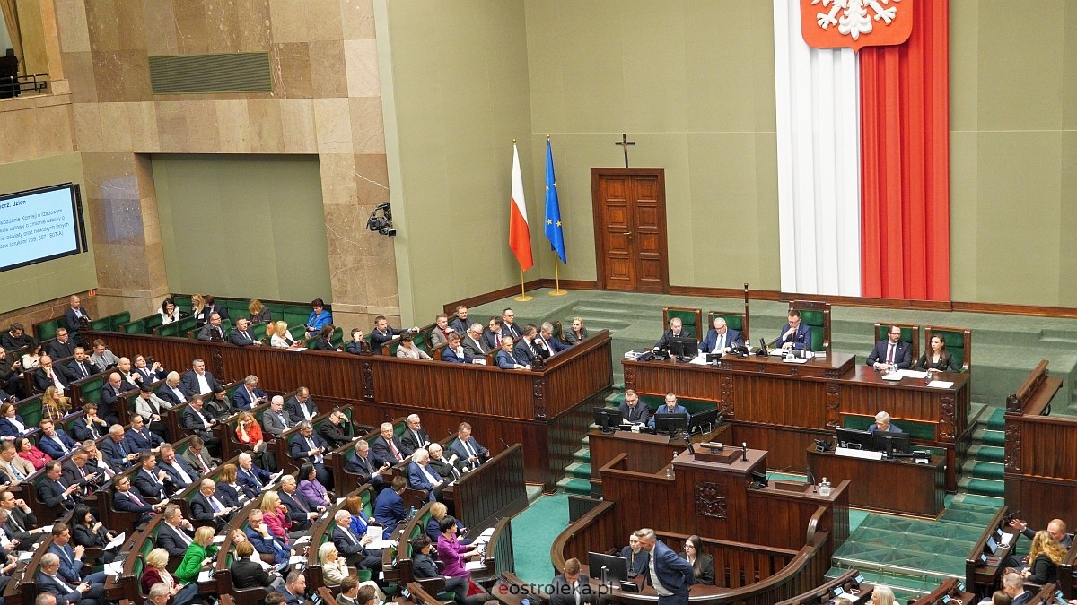 22. posiedzenie Sejmu RP X kadencji [22.11.2024] - zdjęcie #35 - eOstroleka.pl